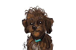 den Familie Tuinder den Familie Tuinder