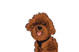 den Familie Tuinder den Familie Tuinder