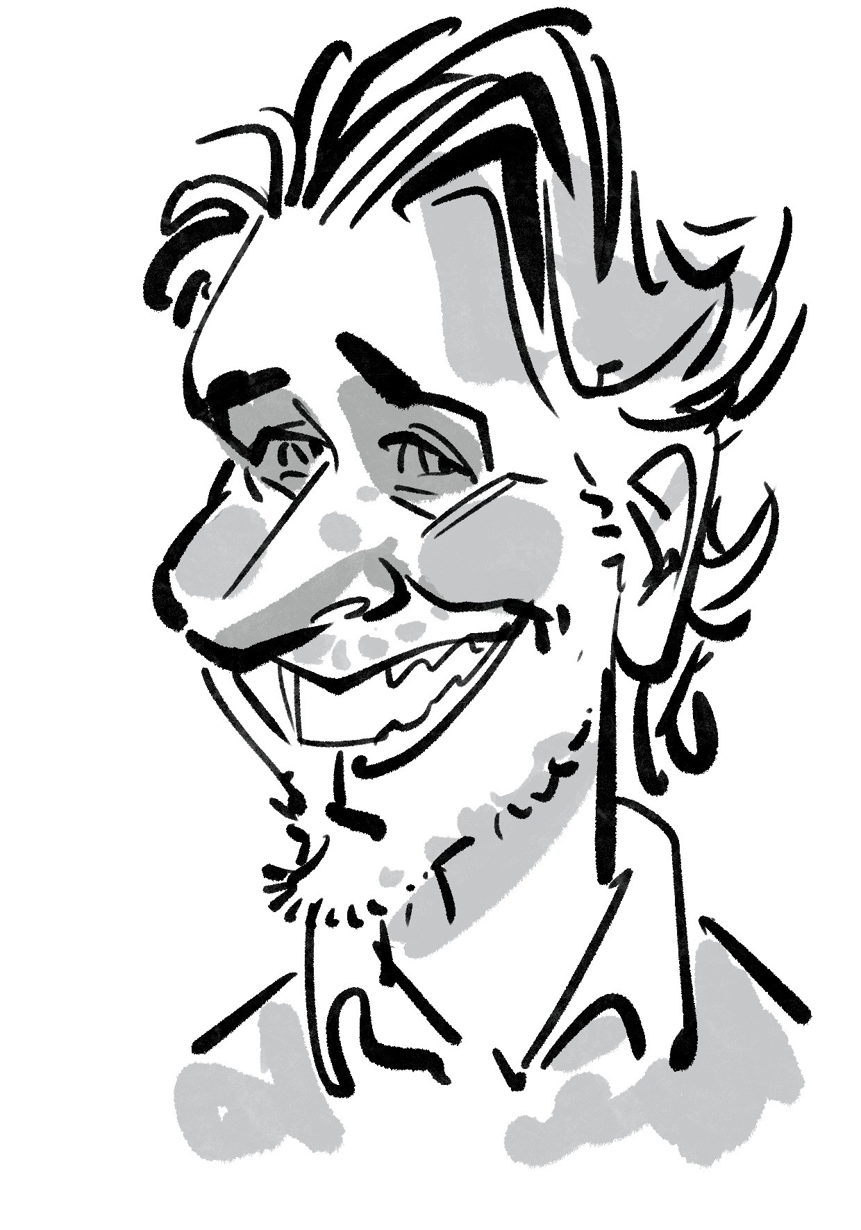 Karikatuur